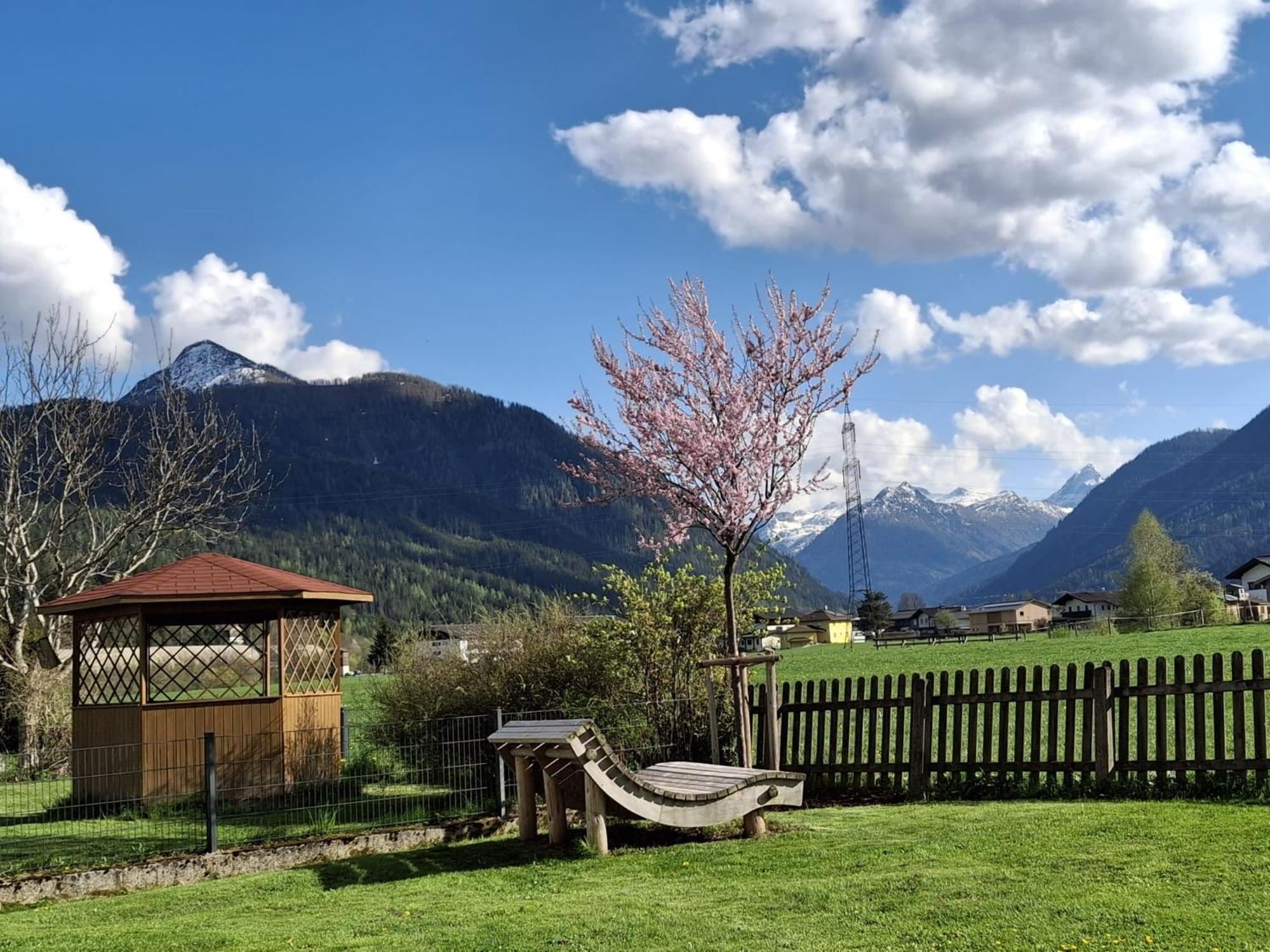 Reiter Appartement Flachau